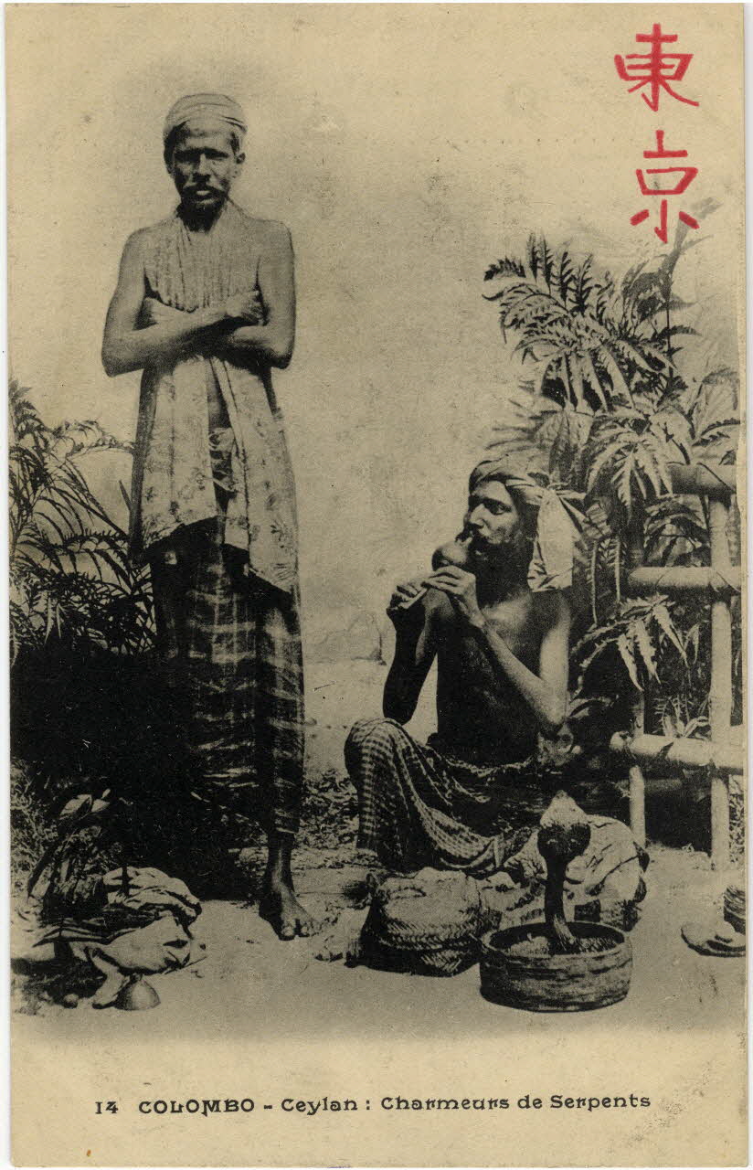 14. Colombo. Ceylan : charmeurs de serpents. Sou.10.102.2 Photo