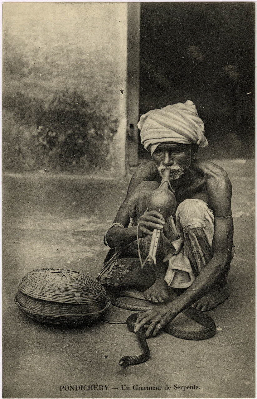 Pondichéry. Un charmeur de serpents. Sou.10.104.2 Photo