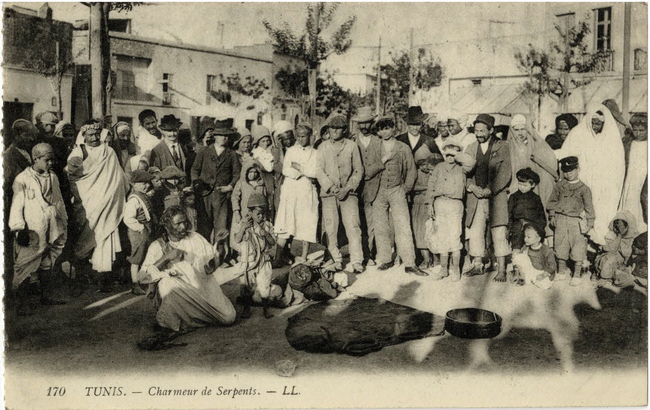 170. Tunis. Charmeur de serpents. Sou.10.107.1 Photo