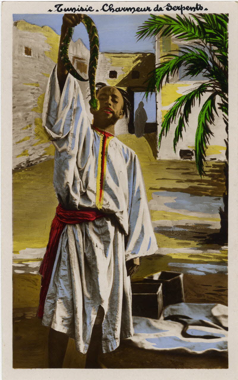 Tunisie. Charmeur de serpents. Sou.10.108.1 Photo
