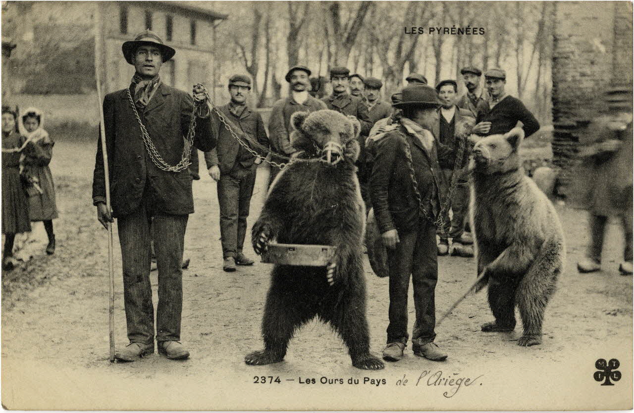 Les Pyrénées. 2374. Les ours du pays de l'Ariège. Sou.10.97.2 Photo