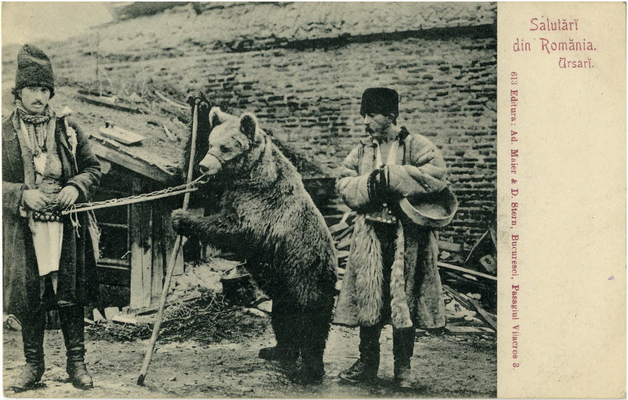 Salutari din Romania Arsari. Sou.10.99.1 Photo