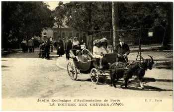Ernest Louis Le Deley Jardin zoologique d'Acclimatation de Paris. La voiture aux chèvres. 1916 Paris, Paris (75) 1916 Sou.20.101.2 Photo