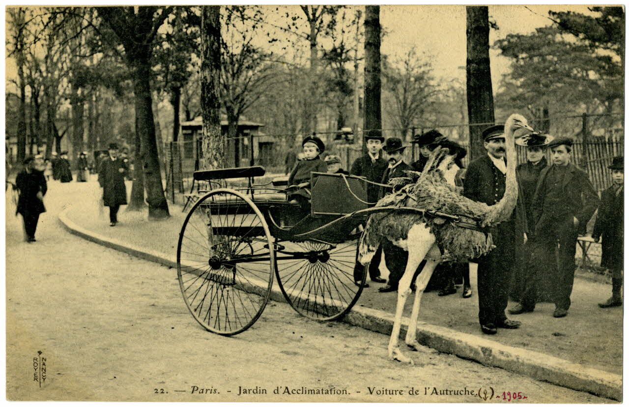 Royer Paris, Jardin d'Acclimatation. Voiture de l'autruche. 1905 Paris, Nancy (54) 1905 Sou.20.120.1 Photo
