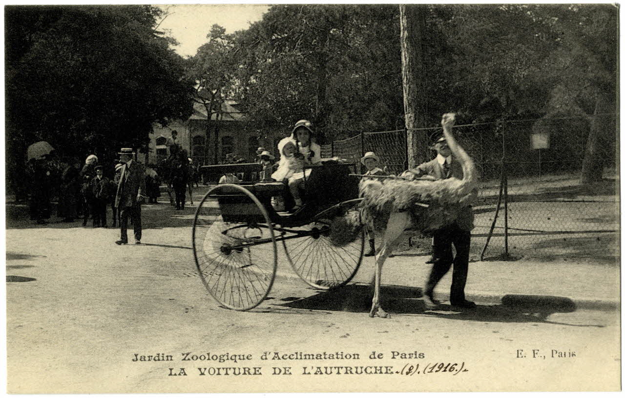 Ernest Louis Le Deley Jardin zoologique d'Acclimatation de Paris. La voiture de l'autruche. 1916 Paris, Paris (75) 1916 Sou.20.121.2  Photo