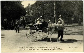 Ernest Louis Le Deley Jardin zoologique d'Acclimatation de Paris. La voiture de l'autruche. 1916 Paris, Paris (75) 1916 Sou.20.121.2 Photo
