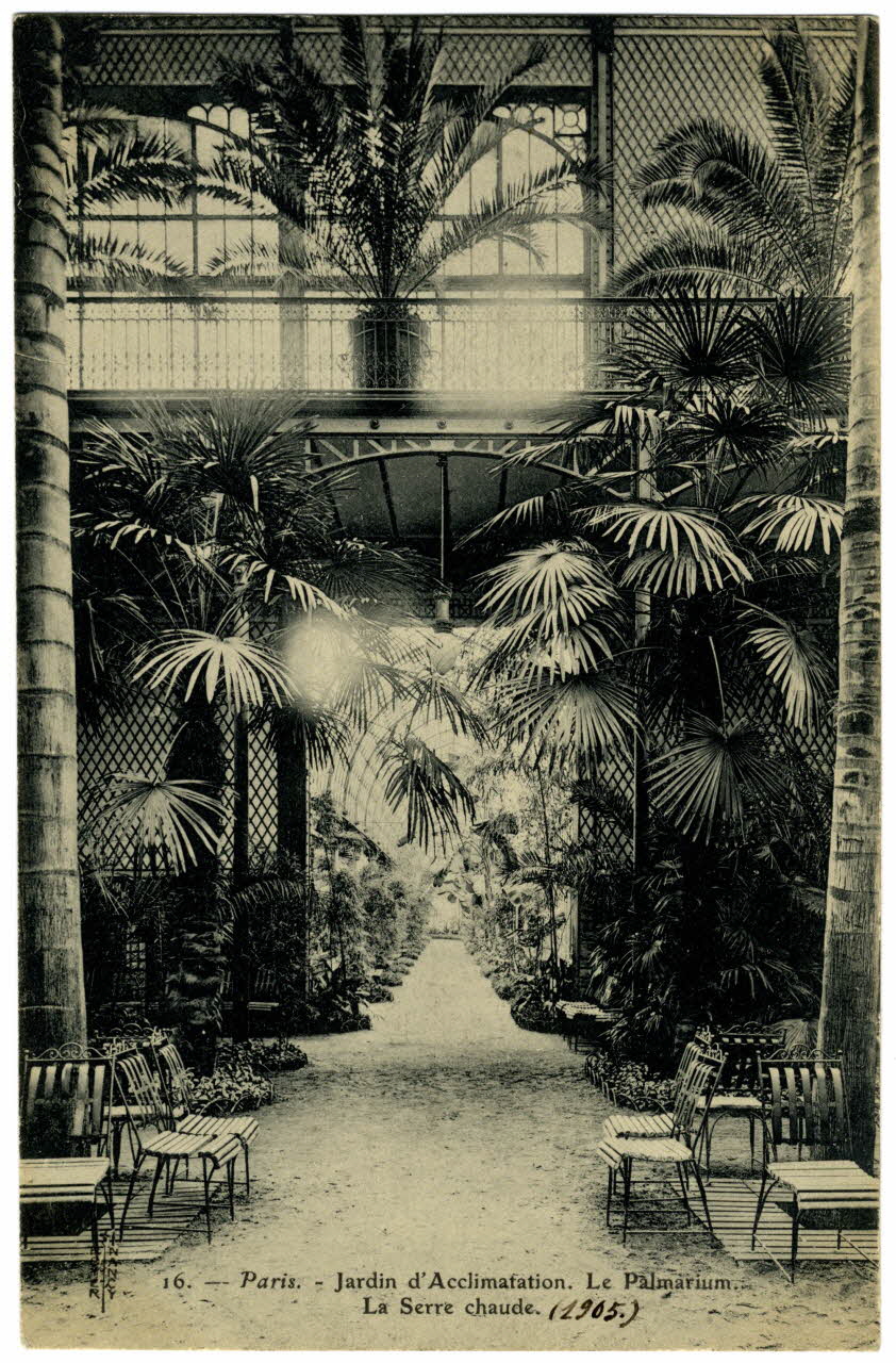 Royer Paris, Jardin d'Acclimatation. Le palmarium. La serre chaude Paris, Nancy (54) 1905 Sou.20.125.2 Photo