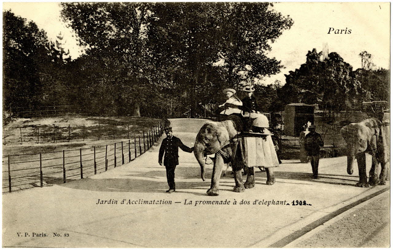 V.P. Jardin d'Acclimatation. Promenade à dos d'éléphant (1902) Paris, Paris (75) 1902 Sou.20.32.1 Photo
