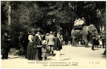 Ernest Louis Le Deley Jardin zoologique d'Acclimatation. Les éléphants (1916) Paris, Paris (75) 1916 Sou.20.38.2 Photo