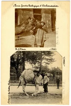 Ernest Louis Le Deley Paris, Jardin zoologique d'Acclimatation (1902) Paris, Paris (75) 1902 Sou.20.69.3 Photo