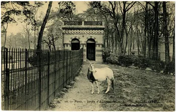 Royer Paris, Jardin d'Acclimatation. 1905 Antilope algazelle morte en 1911 Paris, Nancy (54) 1905 Sou.20.95.1 Photo