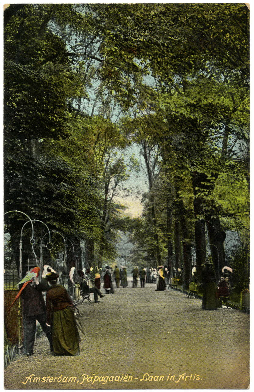 Amsterdam. Papagaaeïen. Laan in Artis Sou.21.86.2 Photo