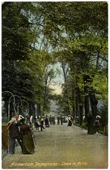 Amsterdam. Papagaaeïen. Laan in Artis Sou.21.86.2  Photo