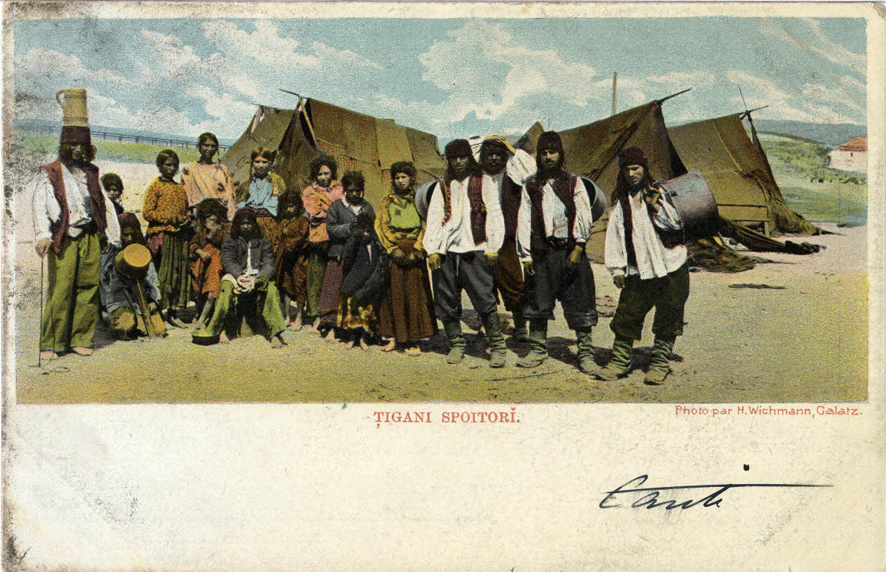 Tigani spoitiri. Sou.3.171.2 Photo