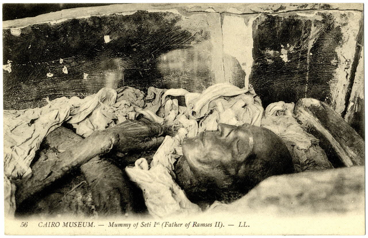 Cairo Museum. Mummy of Seti Ier (Father of Ramsès II) Sou.31.26.3 Photo