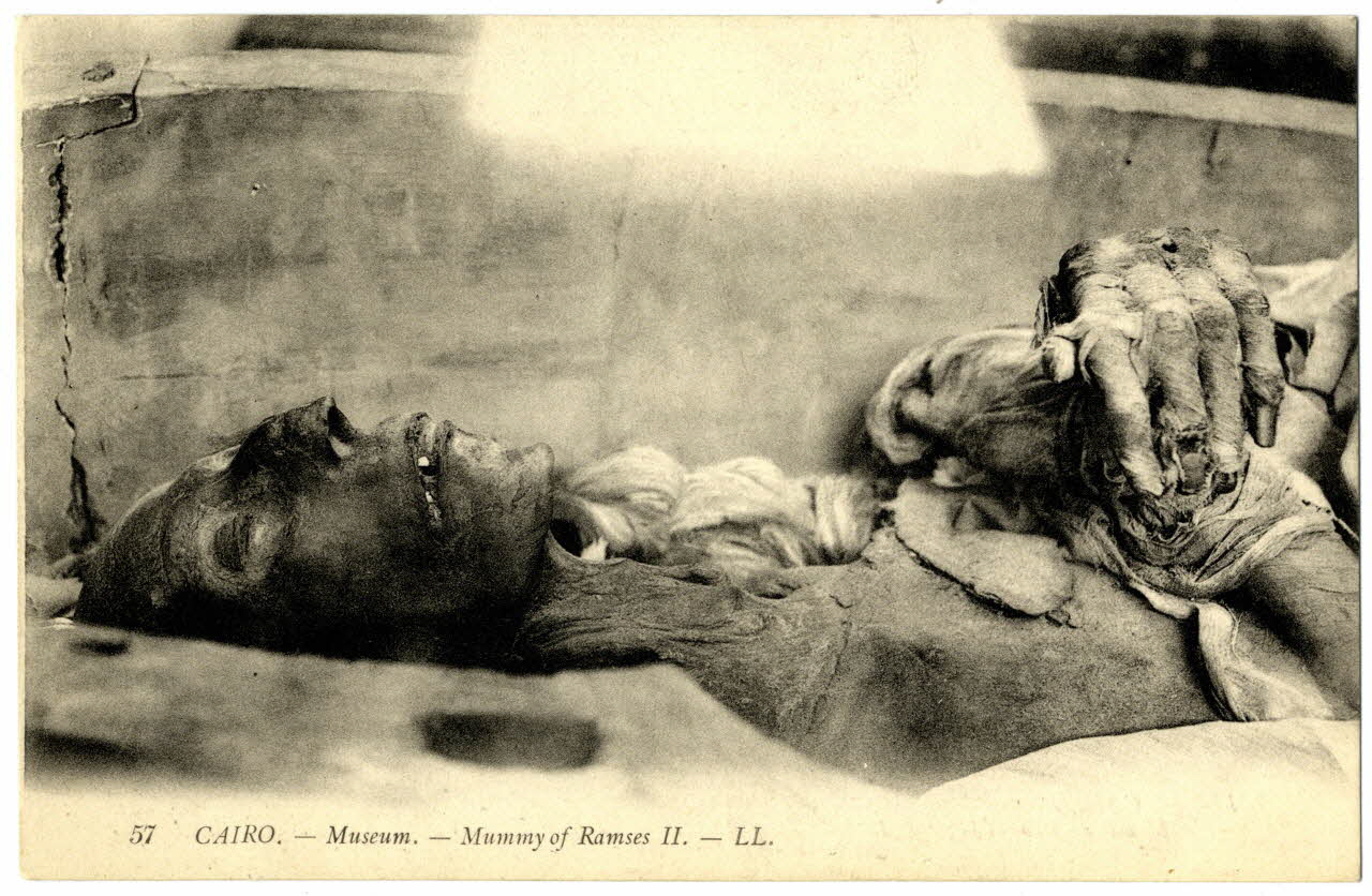 Cairo Museum. Mummy of Ramsès II) Sou.31.26.4 Photo