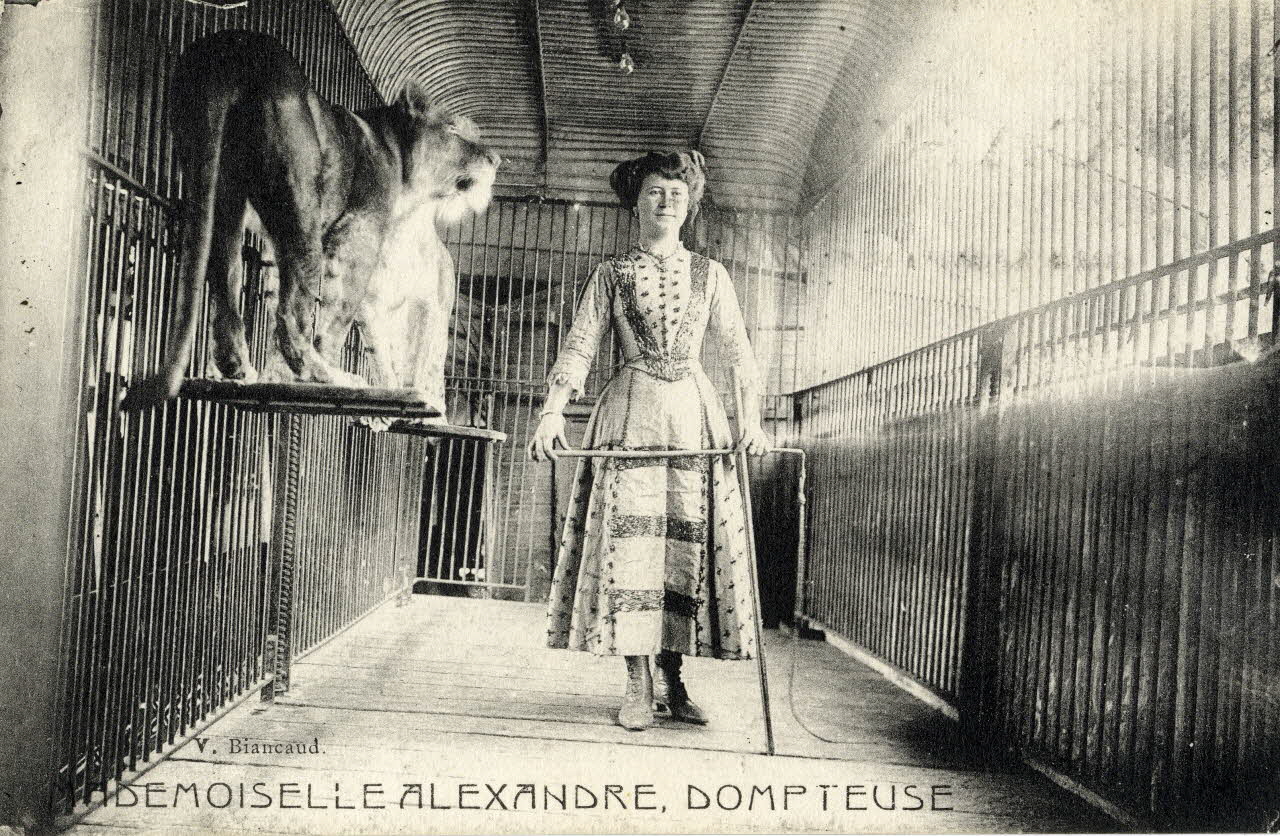 Demoiselle Alexandre dompteuse. Sou.4.126.1  Photo Mucem / Biancaud, V.