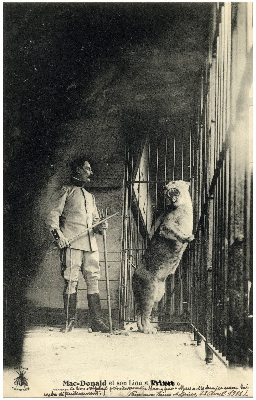 Abeille Mac Donald et son lion. Ce lion s'appelait primitivement Max puis Mars (ce dernier nom lui reste définitivement). Foire aux Pains d'Epices, 23 avril 1911. Paris, Asnières (92) 1911/4/23 Sou.4.132.1 Photo