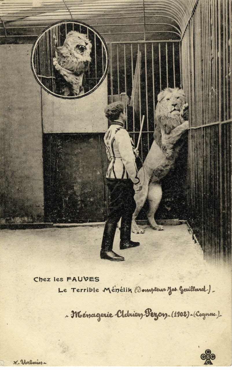 Charles Collas et Cie Chez les fauves. Ménagerie Adrien Pezon (1902. Cognac). Le terrible Ménélik (dompteur Jos. Gaillard). Urbain. Corrèze, Cognac (16) 1902 Sou.4.16.1 Photo
