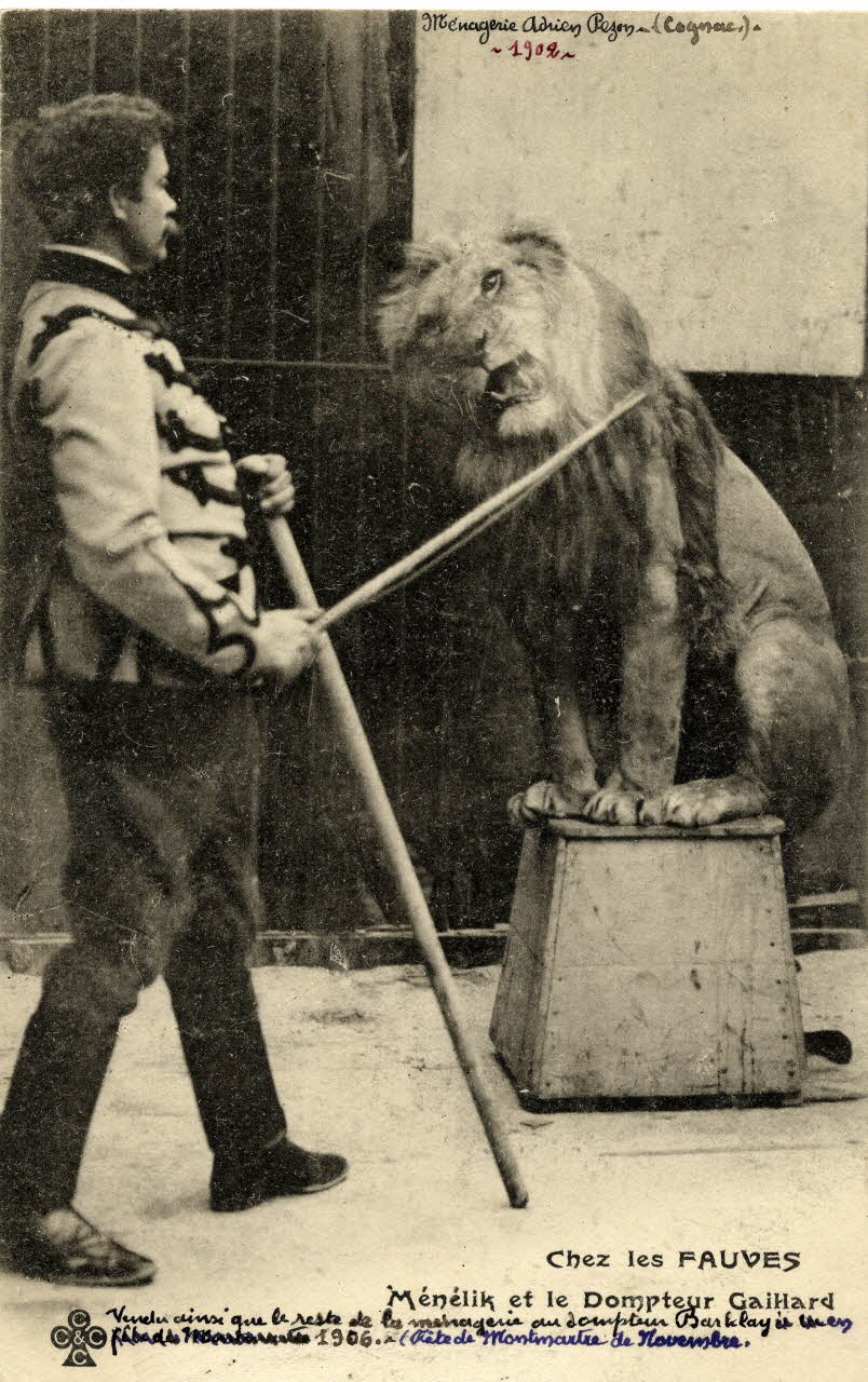 Charles Collas et Cie Chez les fauves. Ménagerie Adrien Pezon (1902. Cognac). Ménélik et le dompteur Gaillard vendu ainsi que le reste de la ménagerie au dompteur Bardlay' en 1906. (Fête de Montamartre de novembre). Corrèze, Cognac (16) 1902 Sou.4.16.2 Photo