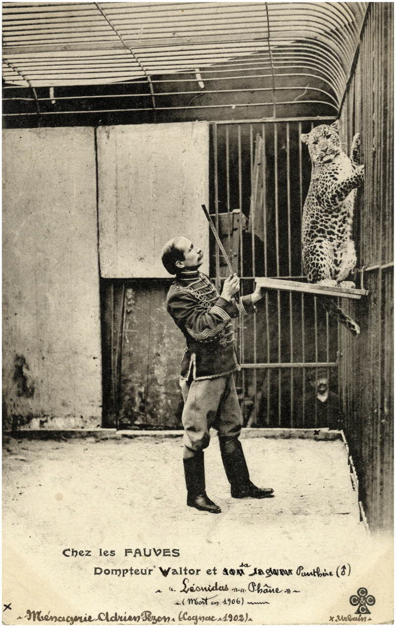 Charles Collas et Cie Ménagerie Adrien Pezon (Cognac. 1902). Chez les fauves. Dompteur Valtor et sa panthère Léonidas Phâne (mort en 1906). Urbain. [Au verso :] Le garçon de cage Urbain, neveu de Me Ve J. B. Pezon. Corrèze, Cognac (16) 1902 Sou.4.19.1 Photo