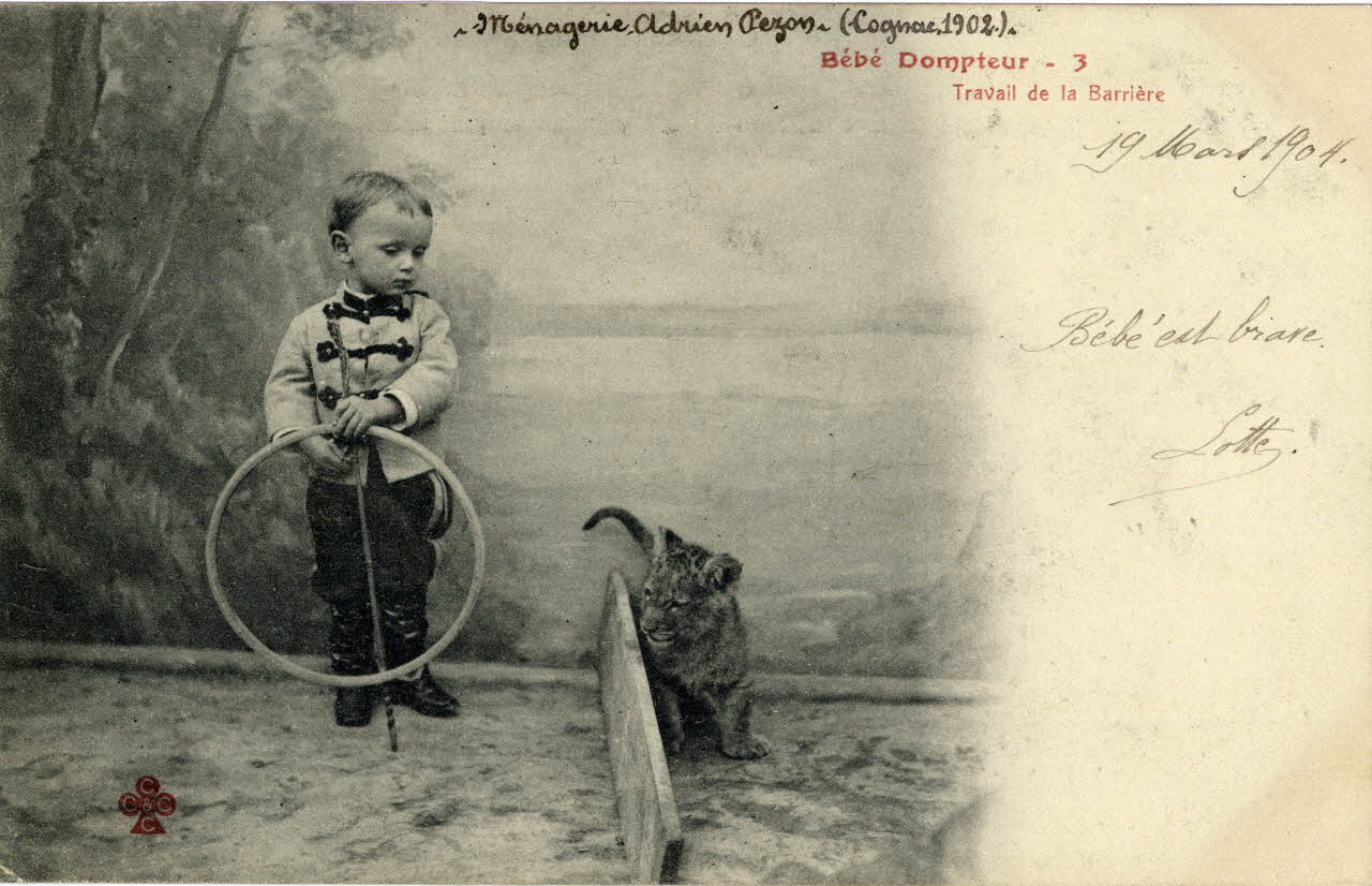 Charles Collas et Cie Ménagerie Adrien Pezon (Cognac. 1902). Bébé dompteur 3. Travail de la barrière. Corrèze, Cognac (16) 1902 Sou.4.21.1 Photo