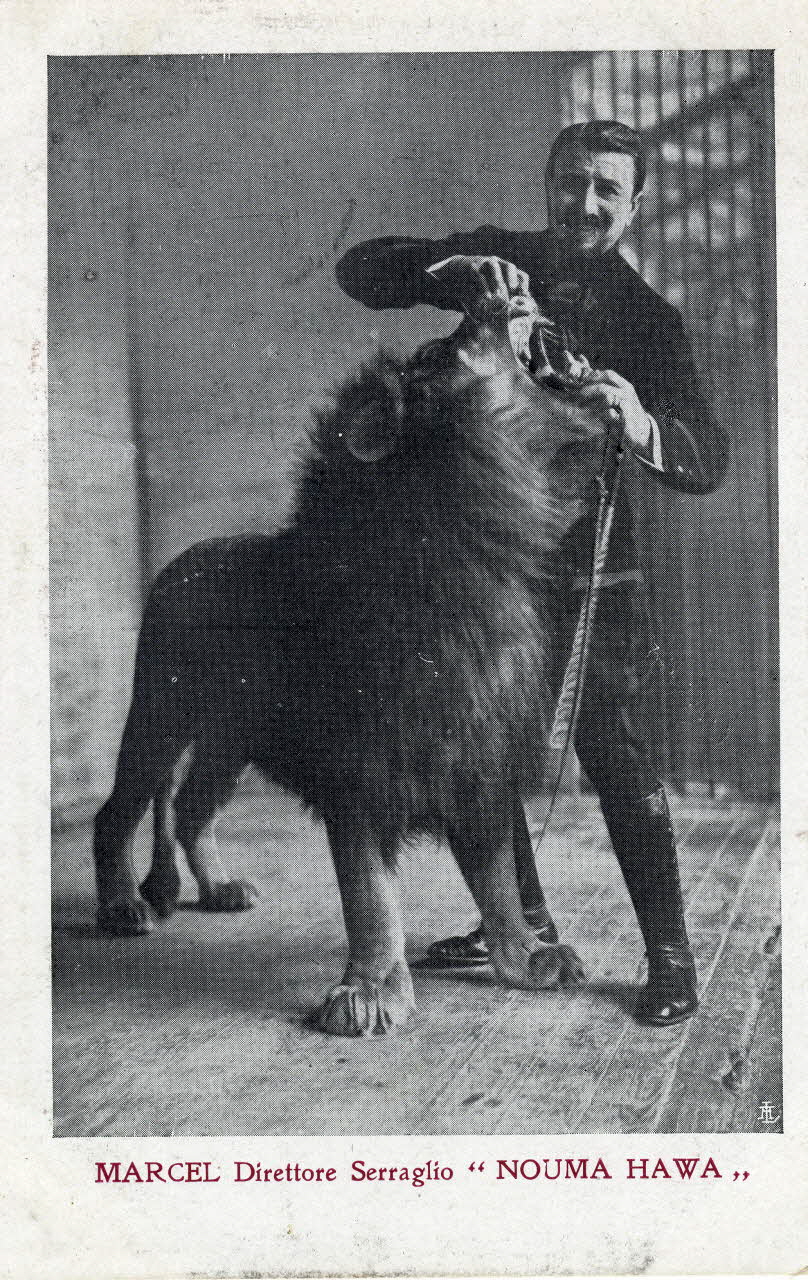 Marcel direttore Serraglio Nouma Hawa. Sou.4.74.1 Photo