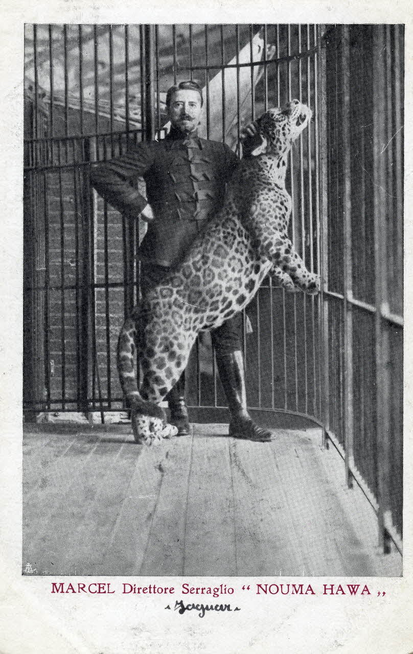 Marcel direttore Serraglio Nouma Hawa. Jaguar. Sou.4.74.2 Photo