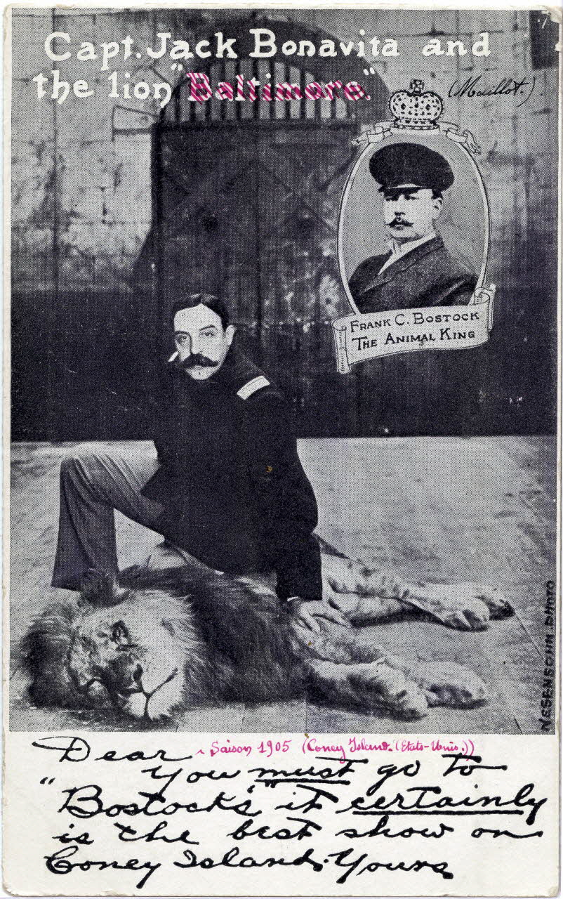 C. Nesenshon Capt. Jack Bonavita and the lion. (Maillot). Saison 1905, Coney Island, Etats-Unis New York (Etats-Unis d'Amérique) 1905 Sou.6.101.1 Photo