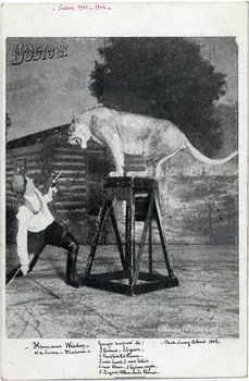 C. Nesenshon Hippodrome Bostock. Hermann Weedon et sa lionne Madame. Groupe domposé de 2 lionnes, 1 tigresse, 1 panthère, 1 puma, 2 ours bruns, 2 ours labies, 1 ours blanc, 2 hyènes rayées, 2 dogues allemands blancs. New York (Etats-Unis d'Amérique) 1903-1904 Sou.6.119.2  Photo