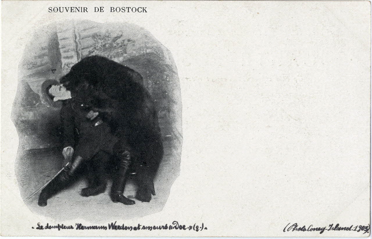 C. Nesenshon Souvenir de Bostock. Le dompteur Hermann Weedon et son ours Doc (femelle) 1903. New York (Etats-Unis d'Amérique) 1903 Sou.6.120.2 Photo