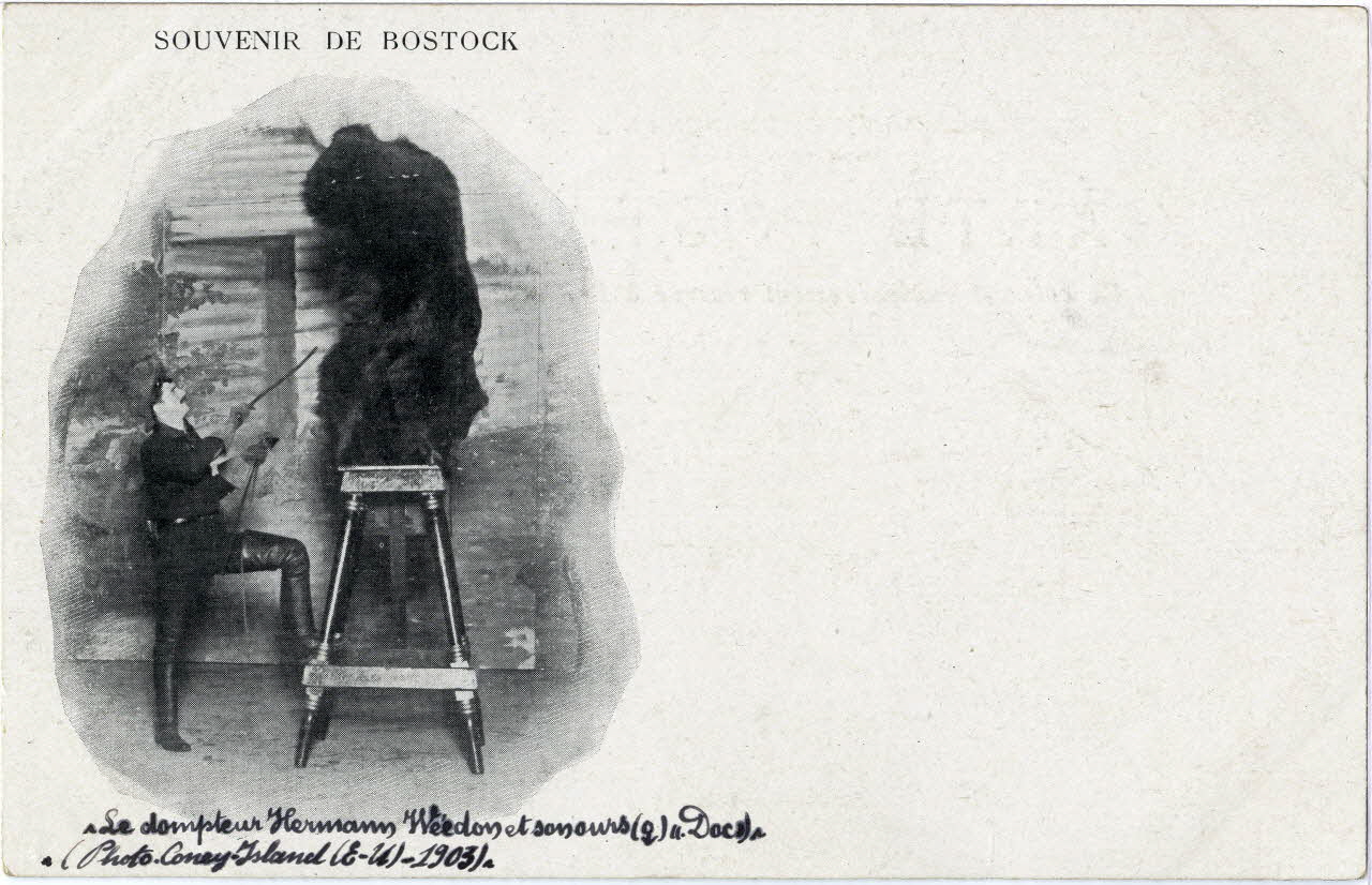 C. Nesenshon Souvenir de Bostock. Le dompteur Hermann Weedon et son ours Doc. 1903. New York (Etats-Unis d'Amérique) 1903 Sou.6.122.1 Photo