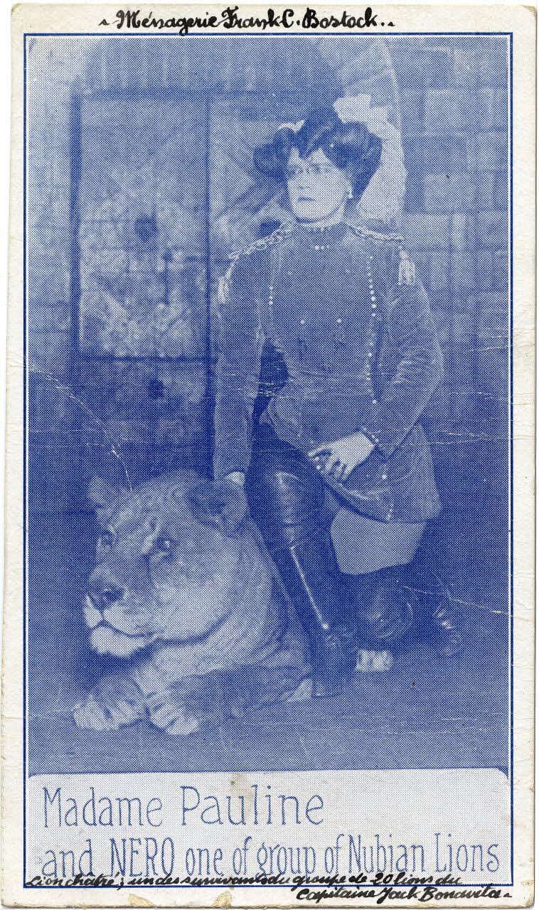 Ménagerie Frank C. Bostock. Madame Pauline and Nero one of group of nubian lions. Lion châtré, un des survivants du groupe de 20 lions du capitaine Jack Bonavita. Sou.6.131.2  Photo