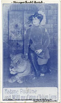 Ménagerie Frank C. Bostock. Madame Pauline and Nero one of group of nubian lions. Lion châtré, un des survivants du groupe de 20 lions du capitaine Jack Bonavita. Sou.6.131.2 Photo