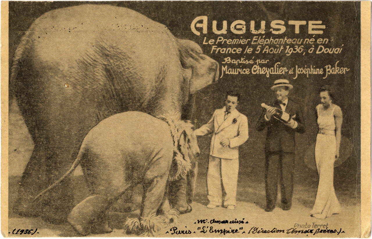 Terret Paris. L'Empire (direction Amar frères). 1936. Auguste le premier éléphanteau né en France le 5 août 1936, à Douai baptisé par Maurice Chevalier et Joséphine Baker. M. Amar aîné. Paris 1936 Sou.6.4.2 Photo