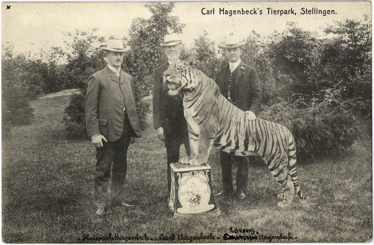 Carl Hagenbeck's tierpark, Stellingen. [de gauche à droite :] Heinrich Hagenbeck, Carl Hagenbeck, Lorenz Hagenbeck. [Au verso :] Carl Hagenbeck, mort à Stellingen le 14 avril 1913, Lorenz Hagenbeck, mort à Stellingen en mars 1956. Sou.6.48.1 Photo