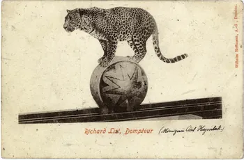 Ménagerie Carl Hagenbeck. Richard List, dompteur. Sou.6.53.2 Photo