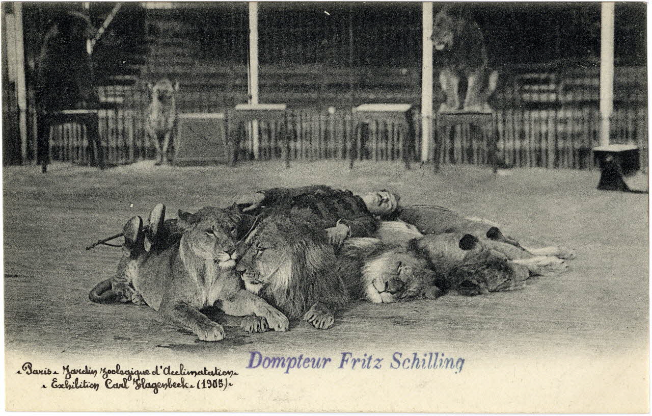 Knackstedt et Näther Paris. Jardin zoologique d'acclimatation. Exhibition Carl Hagenbeck (1905). Dompteur Fritz Schilling. Paris, Hambourg (Allemagne) 1905 Sou.6.55.2 Photo