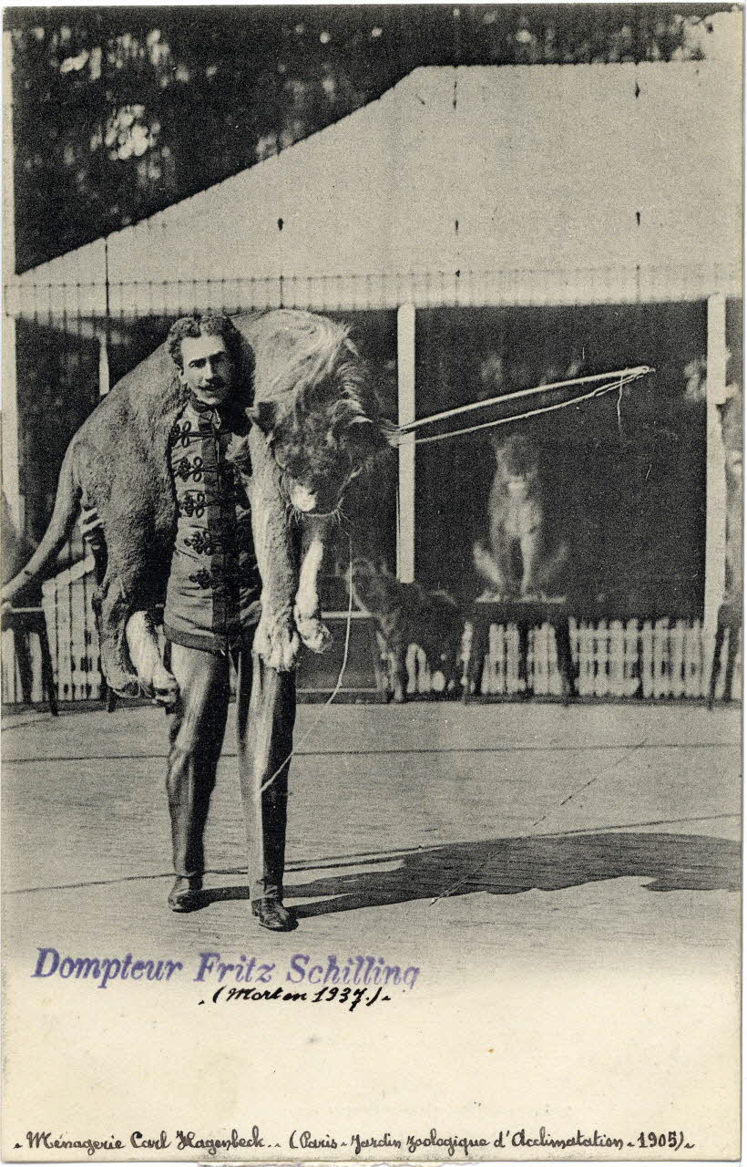 Knackstedt et Näther Paris. Jardin zoologique d'acclimatation. Ménagerie Carl Hagenbeck (1905). Dompteur Fritz Schilling (mort en 1937). Paris, Hambourg (Allemagne) 1905 Sou.6.56.1 Photo