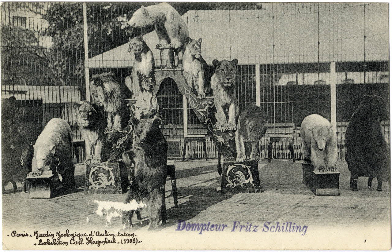 Knackstedt et Näther Paris. Jardin zoologique d'acclimatation. Exhibition Carl Hagenbeck (1905). Dompteur Fritz Schilling (mort en 1937). Paris, Hambourg (Allemagne) 1905 Sou.6.56.2 Photo