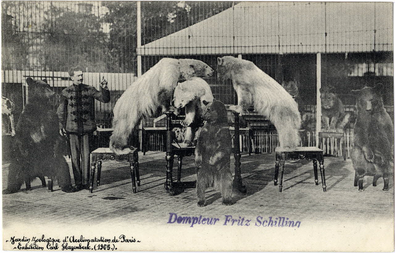 Knackstedt et Näther Paris, Jardin zoologique d'acclimatation. Exhibition Carl Hagenbeck (1905). Dompteur Fritz Schilling. Paris, Hambourg (Allemagne) 1905 Sou.6.58.2 Photo