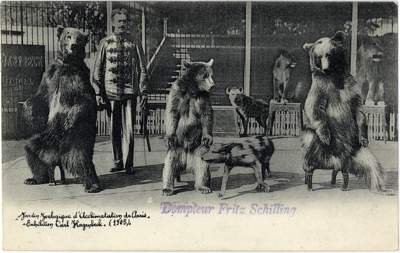 Knackstedt et Näther Paris, Jardin zoologique d'acclimatation. Exhibition Carl Hagenbeck (1905). Dompteur Fritz Schilling. Paris, Hambourg (Allemagne) 1905 Sou.6.60.1 Photo