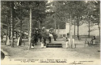 L. Lévy 70. Exposition coloniale 1907 de Nogent-sur-Marne. Eléphants savants présentés par le dresseur Philadelphia (C. Hagenbeck) Val-de-Marne, Paris (75) 1907 Sou.6.64.2 Photo