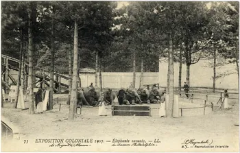 L. Lévy 57. Exposition coloniale 1907 de Nogent-sur-Marne. Eléphants savants présentés par le dresseur Philadelphia (C. Hagenbeck) Val-de-Marne, Paris (75) 1907 Sou.6.66.2 Photo