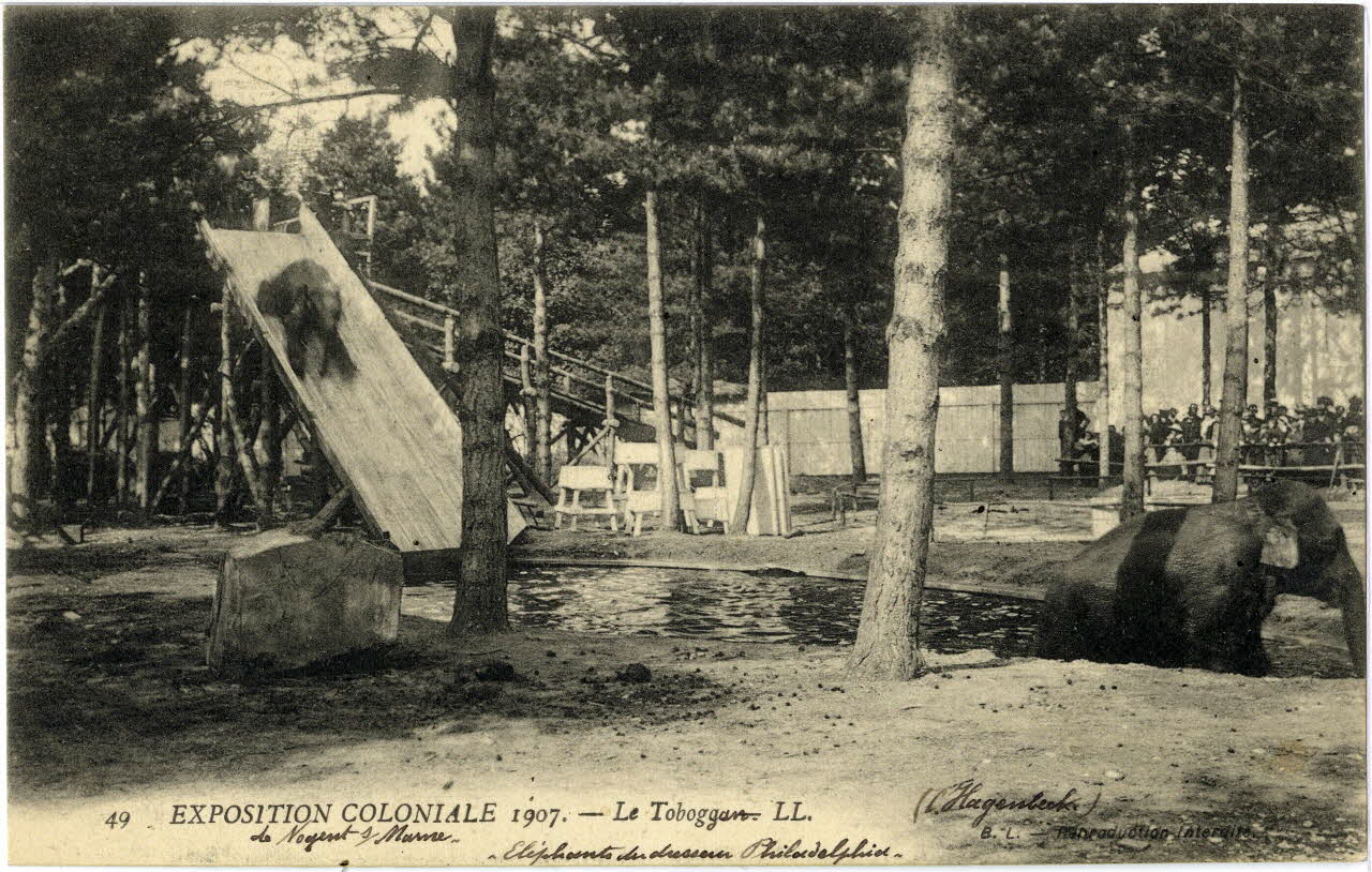 L. Lévy 57. Exposition coloniale 1907 de Nogent-sur-Marne. Eléphants savants présentés par le dresseur Philadelphia (C. Hagenbeck) Val-de-Marne, Paris (75) 1907 Sou.6.67.1 Photo