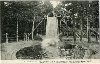 Wilhelm Hoffmann "Exposition coloniale les éléphants de l'Inde. Nogent (1907); Elephants du dresseur Philadelphia (C. Hagenbeck)." Val-de-Marne, Dresde (Allemagne) 1907 Sou.6.68.1 Photo