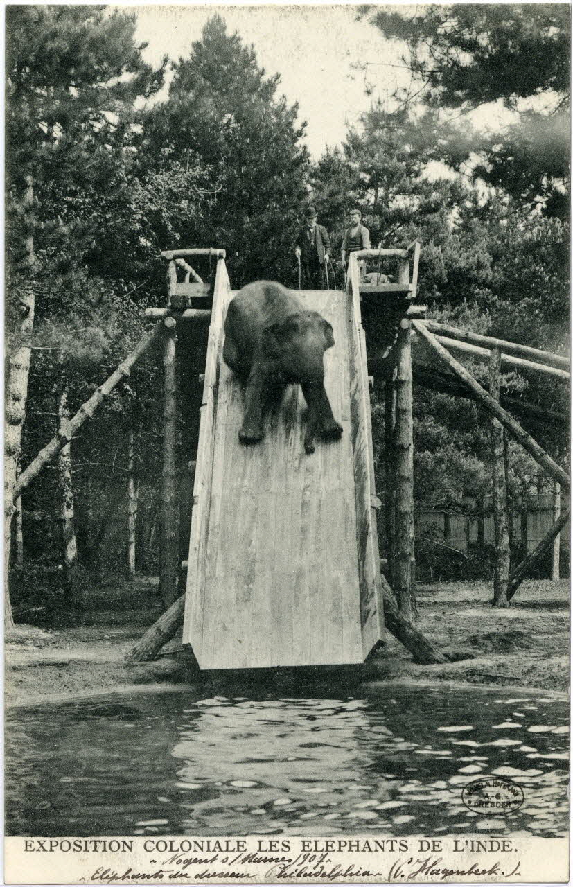 Wilhelm Hoffmann "Exposition coloniale les éléphants de l'Inde. Nogent (1907); Elephants du dresseur Philadelphia. (C. Hagenbeck)." Val-de-Marne, Dresde (Allemagne) 1907 Sou.6.68.2 Photo