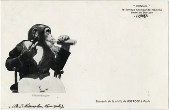 C. Nesenshon Souvenir de la visite de Bostock à Paris. 1903. Consul le fameux chimpanzé-homme élève de Bostock. Folies-Bergère Paris, New York (Etats-Unis d'Amérique) 1903 Sou.6.82.1  Photo