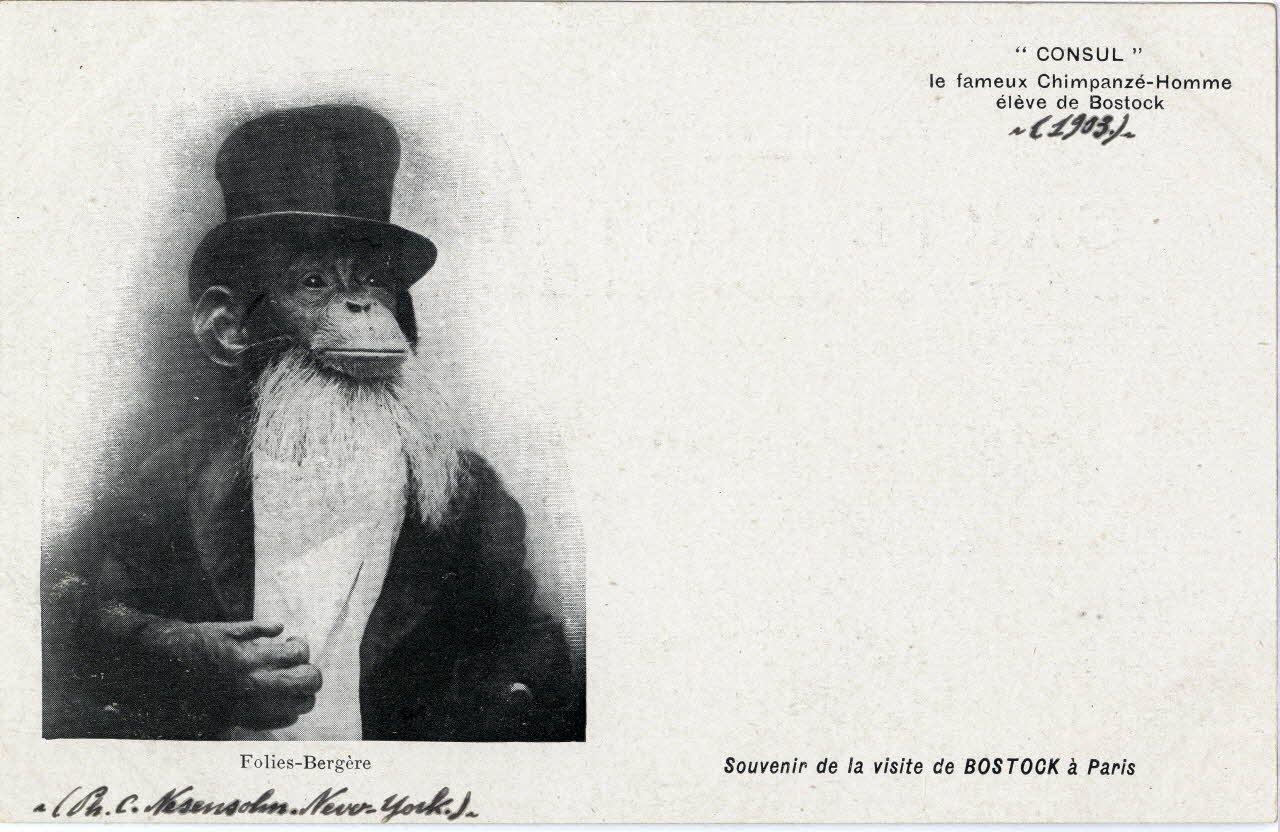 C. Nesenshon Souvenir de la visite de Bostock à Paris. 1903. Consul le fameux chimpanzé-homme élève de Bostock. Folies-Bergère Paris, New York (Etats-Unis d'Amérique) 1903 Sou.6.83.1 Photo