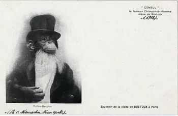 C. Nesenshon Souvenir de la visite de Bostock à Paris. 1903. Consul le fameux chimpanzé-homme élève de Bostock. Folies-Bergère Paris, New York (Etats-Unis d'Amérique) 1903 Sou.6.83.1  Photo